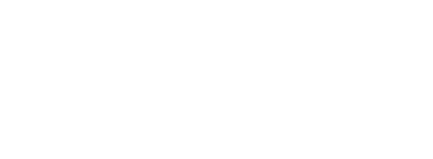 Mimeta Logo